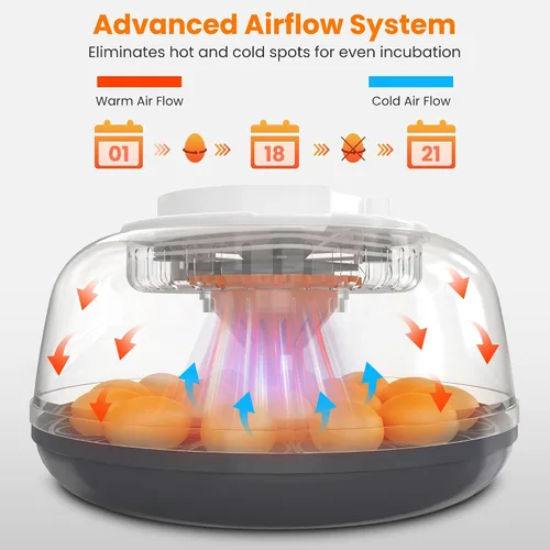 Miniatura 4 de Incubadora automática de huevos de 18 huevos para incubar huevos, incubadora de huevos de gallina con giro automático de huevos, control de humedad