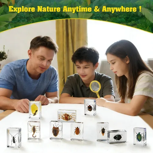Miniatura 6 de Juego de 15 especímenes de resina de insectos reales, varios especímenes de insectos reales en resina para educación científica, biología