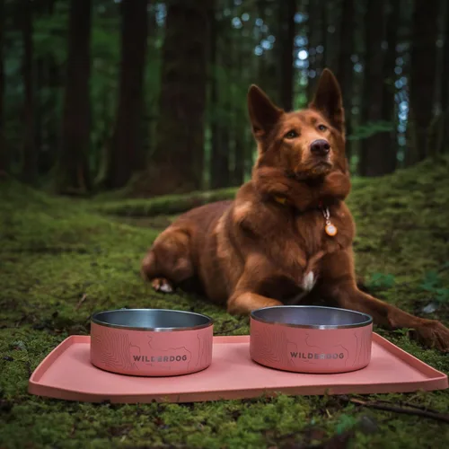 Miniatura 8 de Wilderdog Mantel individual de silicona para mascotas fabricado con cono de silicona 100% de grado alimenticio, sin BPA, PVC y ftalatos. Tapete
