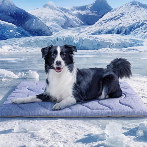 Miniatura 11 de ASENKU Tapete refrescante para perros, portátil y duradero, absorción física del calor, cama refrescante antideslizante y transpirable de verano Azul