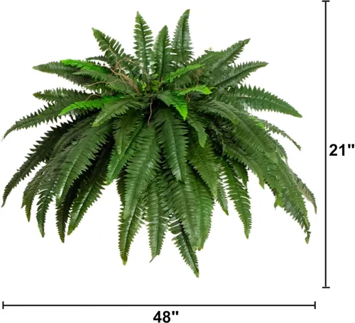 Miniatura 7 de Nearly Natural Planta artificial de helecho Boston de 48 pulgadas, planta falsa colgante grande con 67 fronds realistas largos, helecho sintético