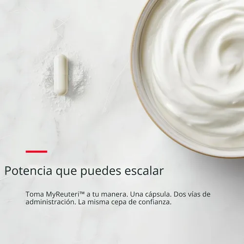 Miniatura 7 de Probiótico MyReuteri 10 mil millones de UFC – Fuerza Fundacional L. reuteri LRDR + FOS Prebiótico – por el Dr. William Davis – Hace un superalimento