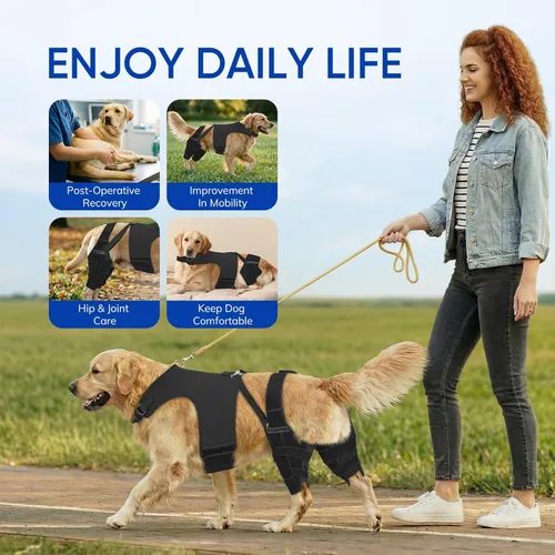 Miniatura 7 de Rodillera para perro para patas traseras desgarradas del ligamento cruzado anterior – Soporte ajustable antideslizante para piernas de perro con 4