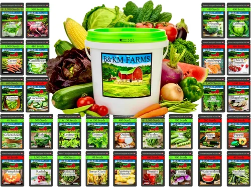 Bóveda de semillas de supervivencia para principiantes: más de 20,000 semillas reliquia y sin OGM (30 variedades fáciles de cultivar) por B&KM Farms