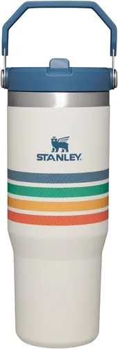 Miniatura 86 de Stanley IceFlow - Vaso con pajilla abatible con asa, de 20 onzas, tapa giratoria y popote abatible, botella de agua resistente a fugas, acero