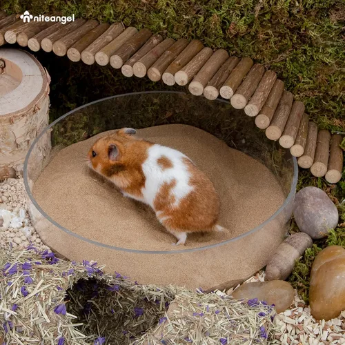 Miniatura 3 de Niteangel Arena de Baño del Desierto para Hámster Arena de Baño sin Polvo o Arena para Arenero para Hámster, Chinchillas, Jerbo, Ratón, Degu u