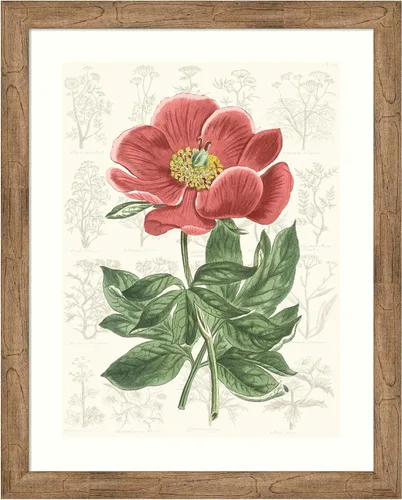Miniatura 13 de Amanti Art Vision Studio - Lienzo decorativo para pared, 24 x 20 pulgadas, diseño de jardín de flores de peonía, arte de pared de flores, decoración