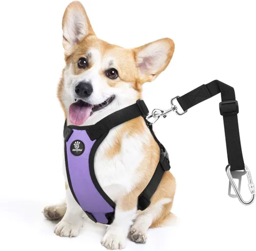 Miniatura 25 de VavoPaw cinturón de seguridad para perro, arnés de coche con peto de seguridad y hebilla ajustable para vehículo, cinturón de seguridad de nailon