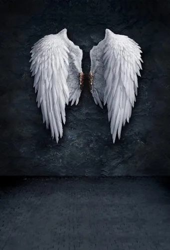 Miniatura 6 de AOFOTO Fondo de pared de 3 x 5 pies, diseño de alas de ángel, fondo de fotografía de pared para niños, niñas, niños, adultos, retrato artístico