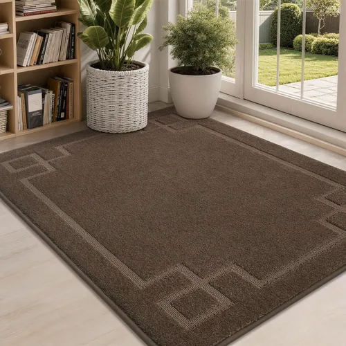 BEQHAUSE Alfombra de Puerta 81 x 122 cm, Alfombras Antideslizantes para Interior Alfombras de Entrada Lavables de Perfil Bajo y Absorbentes, Marrón