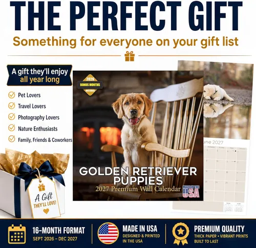 Miniatura 8 de Razas de Perros 2017 cachorros de golden retriever