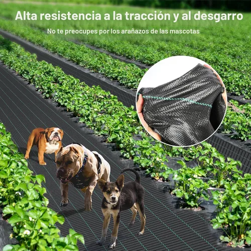Miniatura 7 de iropro Tela de barrera de malezas de 4 x 300 pies, tela de paisaje de 3.2 onzas, tela de control de barrera de malezas, tela de jardinería