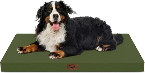 Miniatura 38 de Cama ortopédica de felpa para perros y cachorros medianos, camas impermeables para perros de 30 x 20 pulgadas con funda extraíble lavable, tapete