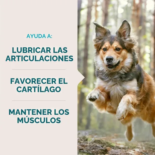 Miniatura 2 de VetIQ Suplemento de glucosamina para cadera y articulaciones para perros, 60 masticables suaves, suplemento de apoyo articular con MSM y krill