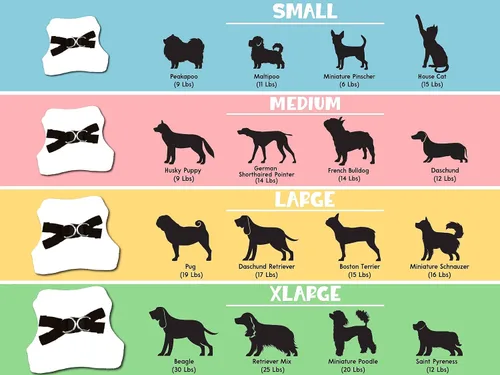 Miniatura 5 de Arnés bordado para perro sin tirones con nombre del perro, 5 fuentes, 7 iconos, arnés tipo chaleco de malla para perros pequeños y medianos