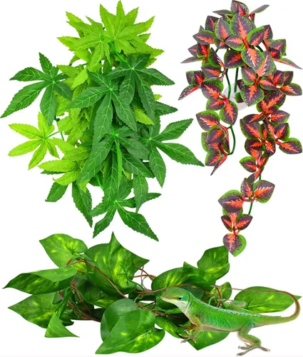 KATUMO Plantas de reptiles, 3 plantas colgantes de anfibios con ventosa para serpientes, dragones barbudos, lagartos, geckos, sapos, tanque de