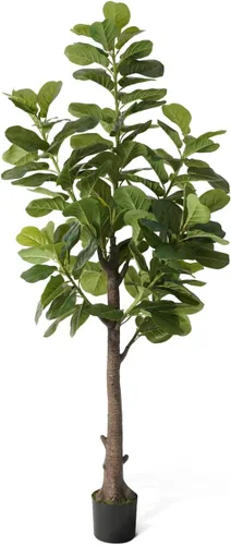 Fencer Wire Árbol de higuera artificial de hoja de violín, 6/7 pies en maceta con musgo seco, para casa, oficina, tienda, árbol sintético de ficus
