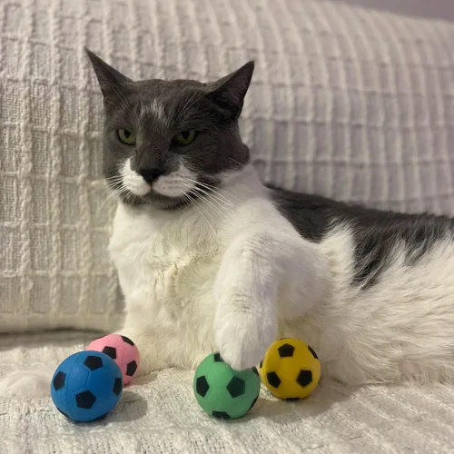 Miniatura 2 de SPOT Pelota de fútbol de esponja para gatos y gatitos, juguete de peluche interactivo y colorido, divertido de batear y perseguir, mantiene a