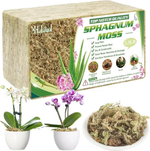 Halatool Musgo de Esfagno Natural de 3.3 Libras para Plantas 60 QT Turba Premium Seca de Fibra Larga Musgo de Orquídea para Trasplante de Orquídeas