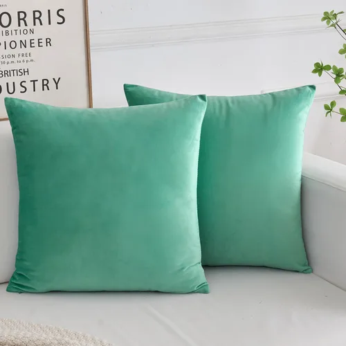 Miniatura 12 de Juego de 2 fundas de almohada decorativas de terciopelo, funda de cojín cuadrada suave para decoración del hogar para sala de estar, sofá o cama