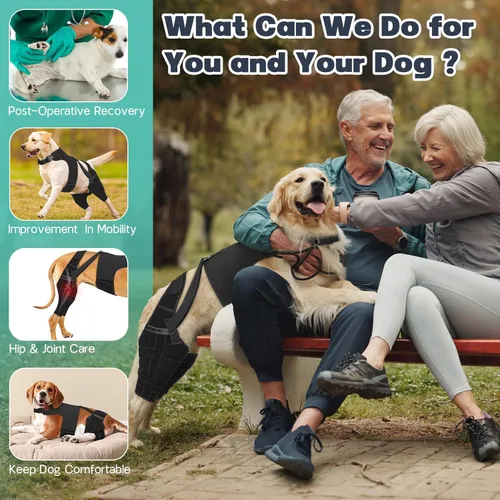 Miniatura 4 de Rodillera para perro para pierna trasera desgarrada, ajustable para pierna trasera con 4 estabilizadores, reduce el dolor, lesiones de ligamentos