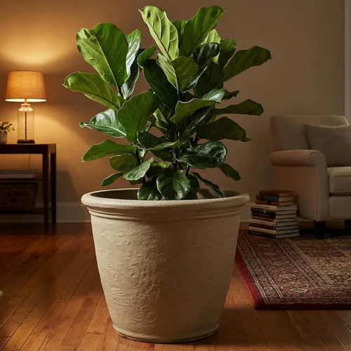 Miniatura 7 de Sunnydaze Anjelica - Maceta grande de plástico de 20 pulgadas para plantas, maceta grande de plástico de doble pared para exteriores con agujeros