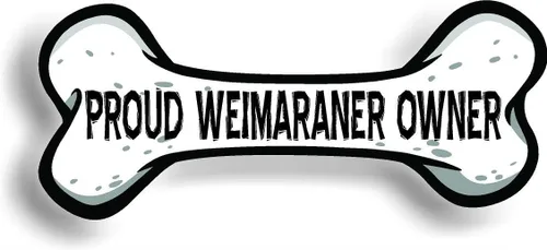 Miniatura 100 de Border Collie Dog Mom Bone - Imán para parachoques de automóvil, magnético para refrigerador, refrigerador decorativo, oficina, pizarra blanca