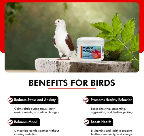Miniatura 6 de Morning Bird Comida para el estado de ánimo, 2 onzas, suplemento calmante natural para pájaros, no sedante, comportamiento no deseado, desplumado