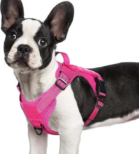 Miniatura 35 de rabbitgoo - Arnés para perros pequeño sin tirones, chaleco táctico de servicio con Molle y asa de control, arnés militar ajustable y reflectante
