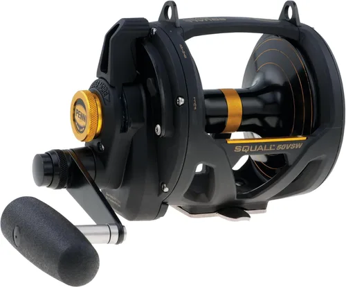 Penn Squall II Palanca de arrastre de 2 velocidades - Carrete de pesca convencional