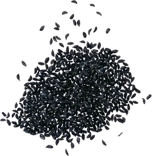 Miniatura 5 de Seed Needs Semillas de cebollino para plantar cebollino común, semillas de hierbas sin OMG y sin tratar para plantar un jardín de hierbas culinarias