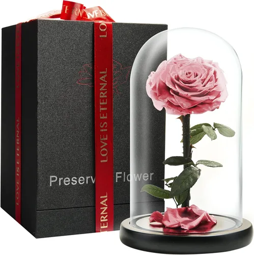 Rosa Preservada para Siempre – Rosa Eterna en Cúpula de Cristal – Rosa de la Bella y la Bestia para Mamá – Flores Frescas para Entrega Prime