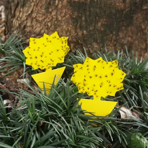 Miniatura 2 de Garsum Trampa para Moscas de la Fruta Amarilla Pegajosa 18 piezas Matamoscas de Hongos para Plantas de Interior y Exterior Atrapador de Insectos