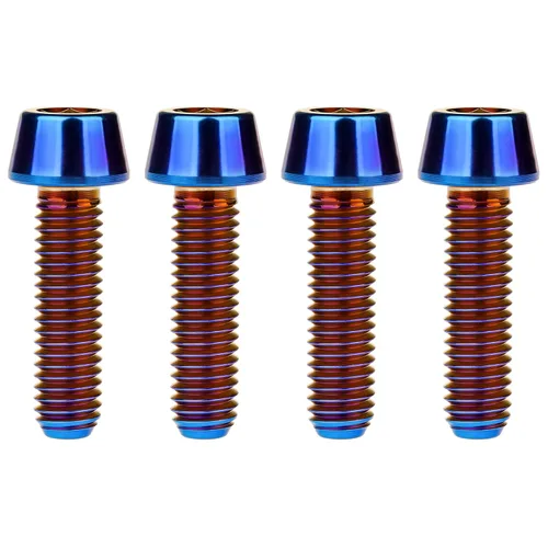 Miniatura 39 de Titanio Ti M6 x 10 16 18 20 25 30 35 40 45 50 55 60 2.559 in Allen - Tornillos hexagonales de 2.559 in, tornillos cónicos, paquete de 4