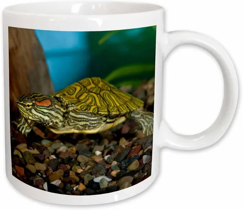 Miniatura 12 de 3dRose NA02 DNO0772 - David Northcott - Tazas (mug_84061_9)
