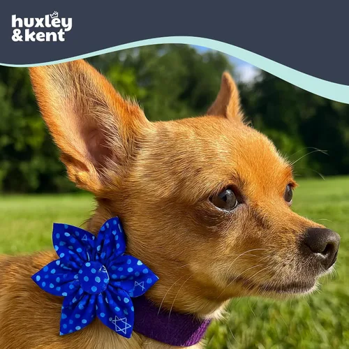 Miniatura 3 de Huxley & Kent Lazo de molinete para mascotas para perros y gatos – Accesorio de collar de gancho y bucle ajustable para vacaciones – Lindo y cómodo