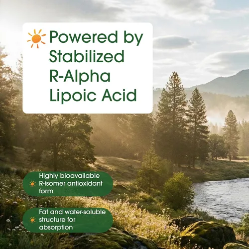 Miniatura 6 de NatureBell Ácido R-Alfa Lipoico, 1,200mg, 90 Cápsulas Vegetarianas Solo R-ALA Puro Estabilizado Alta Absorción y Soporte Antioxidante Sin