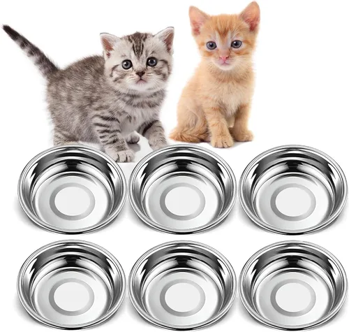 6 cuencos gruesos de acero inoxidable para gatos, 5.5 pulgadas, poco profundos, de metal, planos, para gatitos, aptos para bigotes, repuesto para