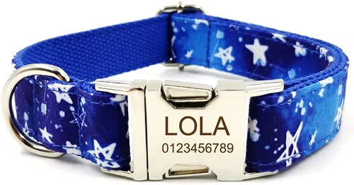 Miniatura 15 de Collar de perro personalizado, grabado personalizado con nombre de mascota, número de teléfono, etiqueta de identificación para razas pequeñas