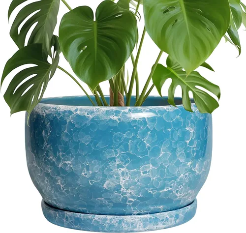 Miniatura 20 de SQOWL Macetas de cerámica – Maceta de 6 pulgadas con orificio de drenaje y bandeja, maceta redonda para plantas de interior, maceta decorativa