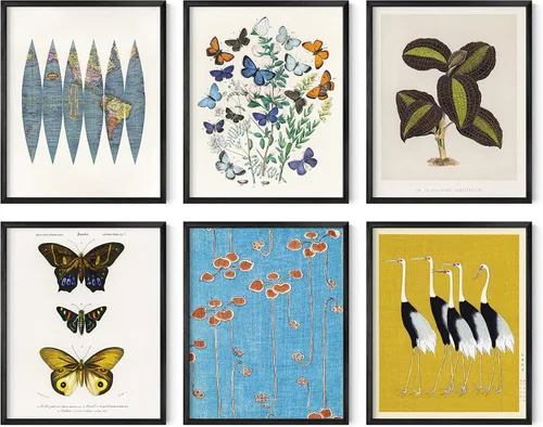Miniatura 30 de HAUS AND HUES Arte abstracto para pared, juego de 6 arte moderno japonés para pared, decoración de pared estética, póster de mariposa y luna, obra