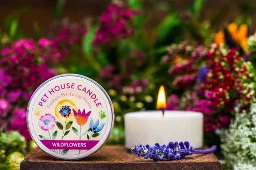 Miniatura 3 de Pet House - Mini velas para olor de mascotas, a base de plantas, velas perfumadas aptas para perros y gatos, té verde lavanda, paquete de 3