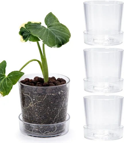 Miniatura 23 de Phoenix Vine Maceta de acrílico transparente de 3.5 pulgadas con bandeja, maceta de orquídeas con agujeros de drenaje, platillo profundo para riego