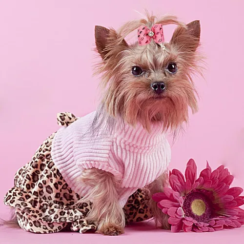 Miniatura 7 de PET SHOW Mixed Styles - Lazos para el pelo para perros pequeños con bandas de goma, accesorios de aseo para mascotas, gatos, cachorros, color rosa