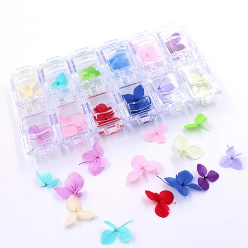 Nail Art Flores secas Diseño 3D Natural Real Flor Seca Pegatina Consejos Accesorios 12 Colores