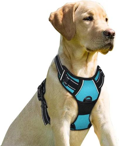Miniatura 18 de BARKBAY Arnés sin tirones para perro, clip frontal, resistente, reflectante, mango de fácil control para pasear perros grandes (negro, L)