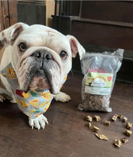 Miniatura 2 de Golosinas de carne de res para perros, fabricadas solo en Estados Unidos, puntas de carne de res carnosa y naturales, carne de res americana asada