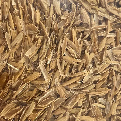 Miniatura 2 de Cascos de arroz orgánico - 1 galón