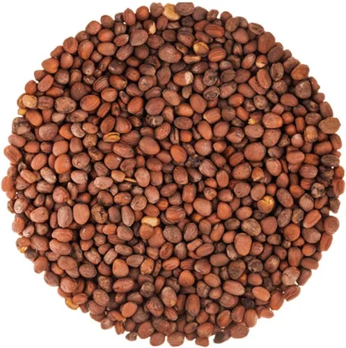 Miniatura 3 de Semillas de rábano orgánico para germinar, 8 onzas, sin OMG, semillas comestibles, puras, veganas, kosher, a granel. Sabor picante. Ricas