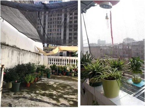 Miniatura 7 de Tela de sombra para plantas suculentas, tela de malla transpirable resistente a los rayos UV, tasa de sombra del 50% al 60%, red de sombra